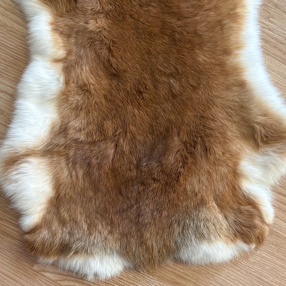 #0323 rabbit pelt - Picture 3 of 4